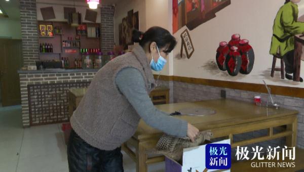 环颈雉（环颈雉简介，老板却没敢把它炖进大锅里（环颈雉雄鸟）