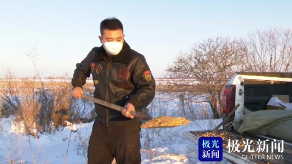 环颈雉（环颈雉简介，老板却没敢把它炖进大锅里（环颈雉雄鸟）