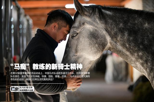 温血马，首次扬名奥运会的马术运动离平常人有多远（温血马是什么意思）