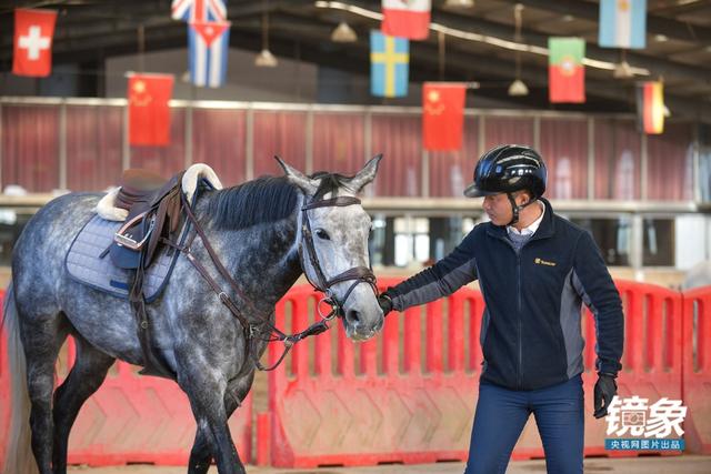 温血马，首次扬名奥运会的马术运动离平常人有多远（温血马是什么意思）
