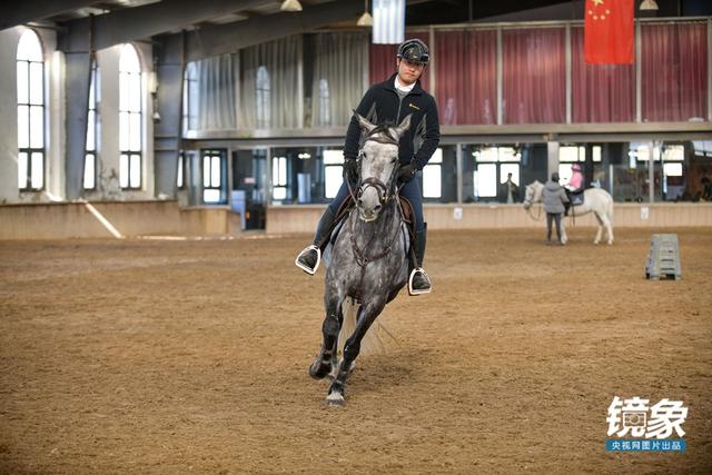温血马，首次扬名奥运会的马术运动离平常人有多远（温血马是什么意思）