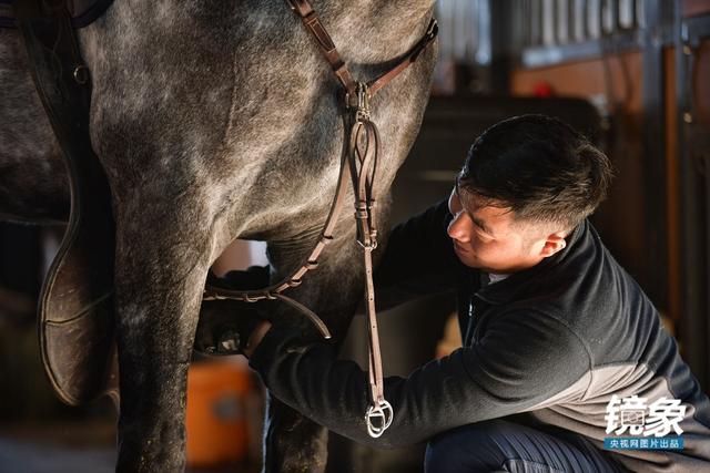 温血马，首次扬名奥运会的马术运动离平常人有多远（温血马是什么意思）