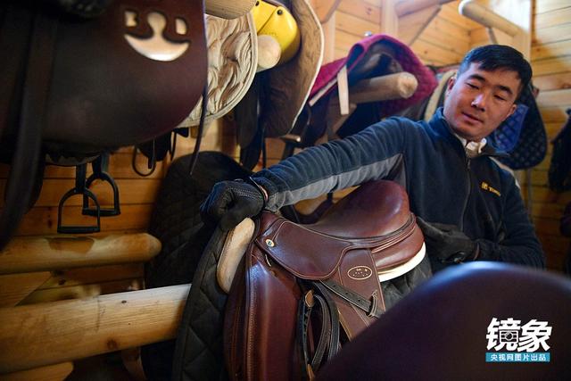 温血马，首次扬名奥运会的马术运动离平常人有多远（温血马是什么意思）