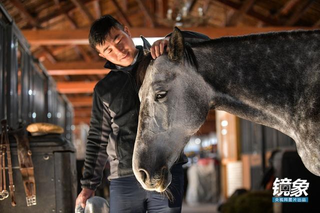 温血马，首次扬名奥运会的马术运动离平常人有多远（温血马是什么意思）