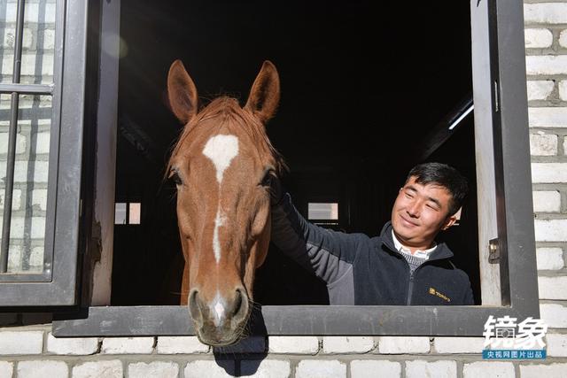 温血马，首次扬名奥运会的马术运动离平常人有多远（温血马是什么意思）