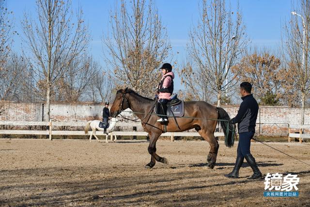 温血马，首次扬名奥运会的马术运动离平常人有多远（温血马是什么意思）