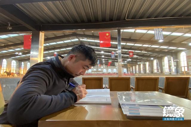 温血马，首次扬名奥运会的马术运动离平常人有多远（温血马是什么意思）