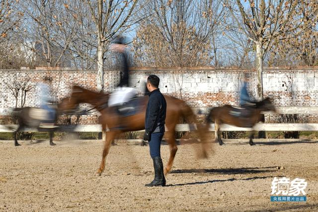 温血马，首次扬名奥运会的马术运动离平常人有多远（温血马是什么意思）