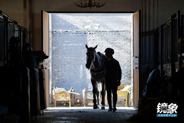 温血马，首次扬名奥运会的马术运动离平常人有多远（温血马是什么意思）