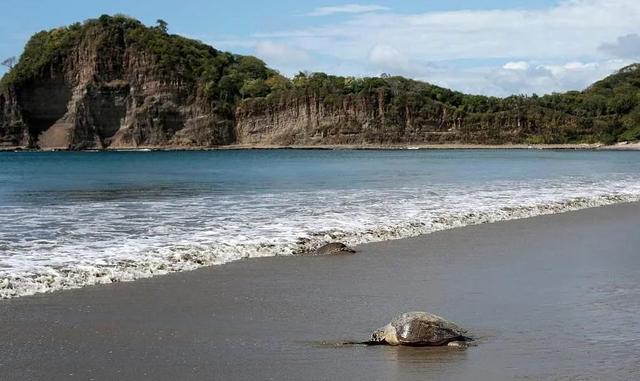 尼加拉瓜共和国，nicaragua是哪个国家（带你了解一下尼加拉瓜）