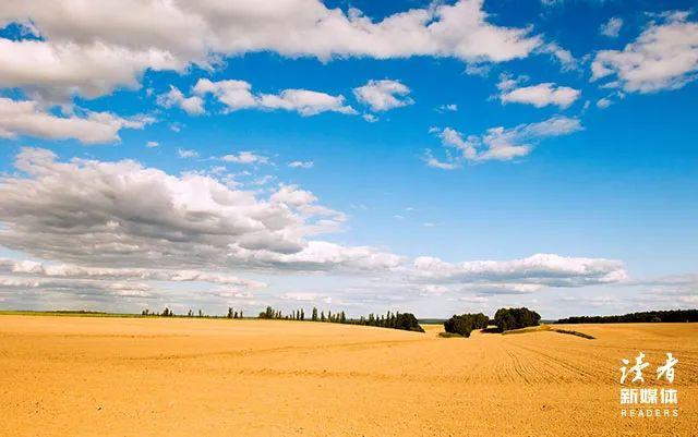 小王子，小王子经典语录（《小王子》中的10句话图片）