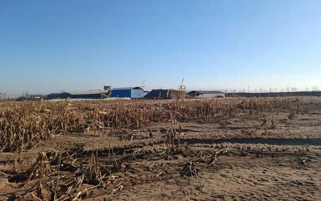 华北平原环境问题，华北平原环境问题及治理措施（农业如何应对“陌生”天气）