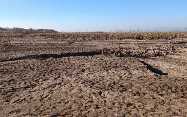 华北平原环境问题，华北平原环境问题及治理措施（农业如何应对“陌生”天气）