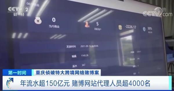 属马人2014年运势，属马的人2014年运程（特大跨境网络赌博案侦破）