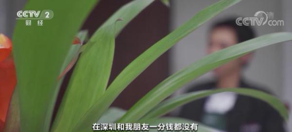 属马人2014年运势，属马的人2014年运程（特大跨境网络赌博案侦破）