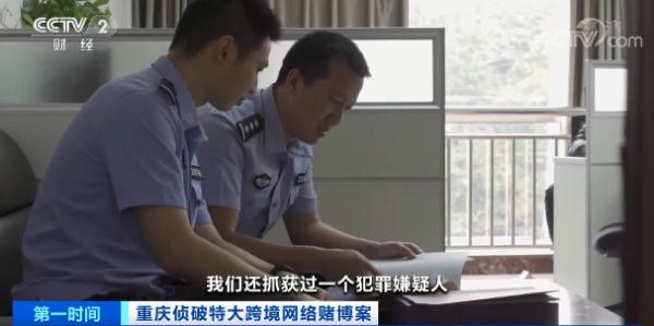 属马人2014年运势，属马的人2014年运程（特大跨境网络赌博案侦破）