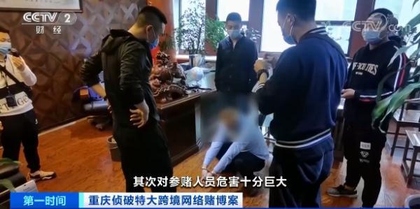 属马人2014年运势，属马的人2014年运程（特大跨境网络赌博案侦破）