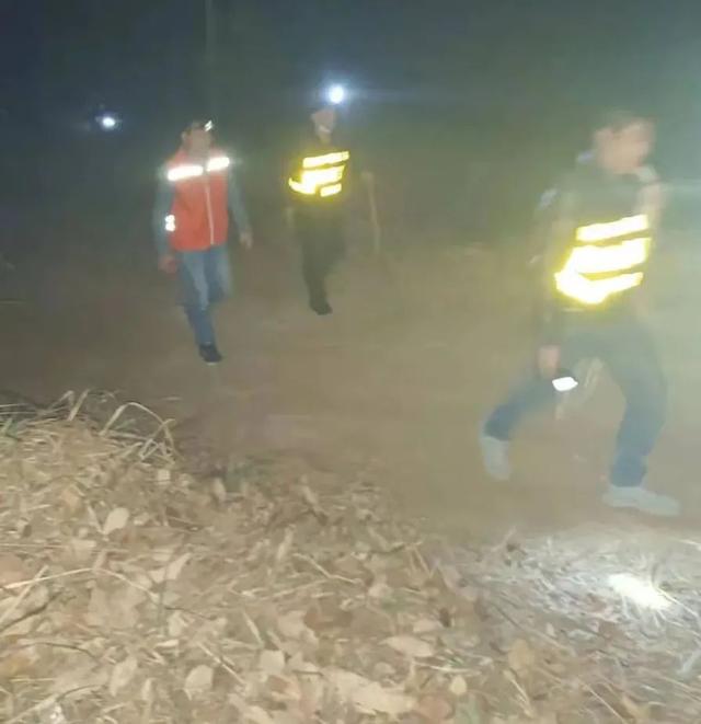 吃板栗的注意事项，板栗的禁忌 不能和什么一起吃（一村民捡栗子迷失深山）