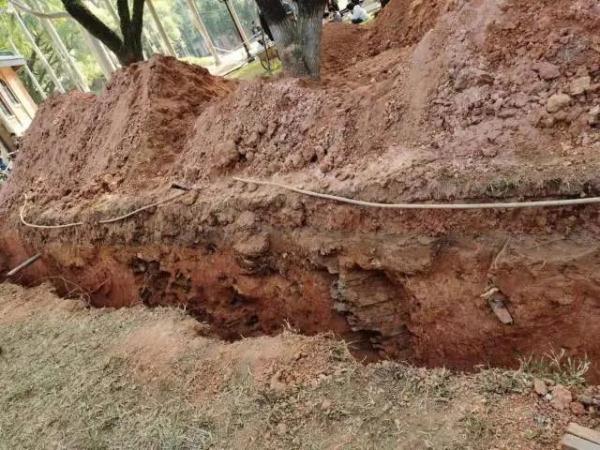 中山大学南校区地址，中山大学有几个校区及校区地址（广州一大学疑发掘到古墓）