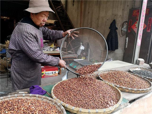 怎么炒蚕豆，炒蚕豆怎么炒好吃（嘎嘣脆的四河炒蚕豆）