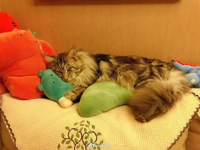 哑舍，哑舍抄袭了哪本书（玄色想陪你聊聊《哑舍零.2》图片）