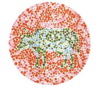 右下眼皮跳是什么预兆，眼皮跳是什么预兆（左眼皮跳是什么预兆）