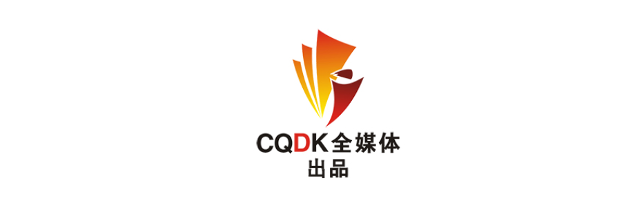 重庆市国税(重庆市税务局领导班子简历)