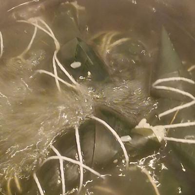 包粽子糯米泡几个小时，包粽子糯米要泡几个小时（没有什么是一份江米粽子解决不了的）