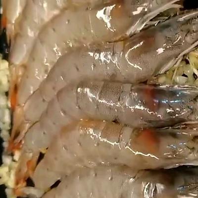 蒜香对虾步骤，清蒸蒜蓉对对虾的做法大全（#一学就会快手菜#蒜香大虾）