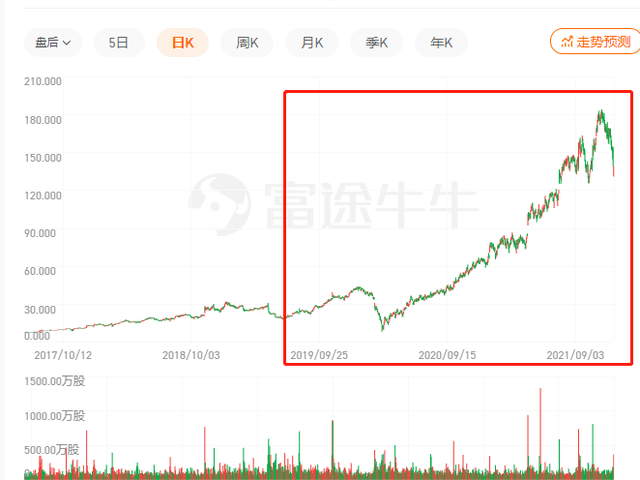 crocs洞洞鞋为什么贵(crocs洞洞鞋多少钱一双)