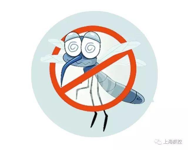 蚊子的寿命有多长，热带蚊子的寿命有多长（还不赶紧下狠手灭了它）