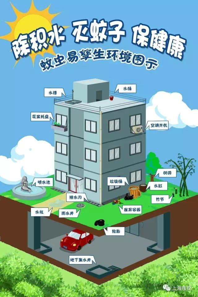 蚊子的寿命有多长，热带蚊子的寿命有多长（还不赶紧下狠手灭了它）