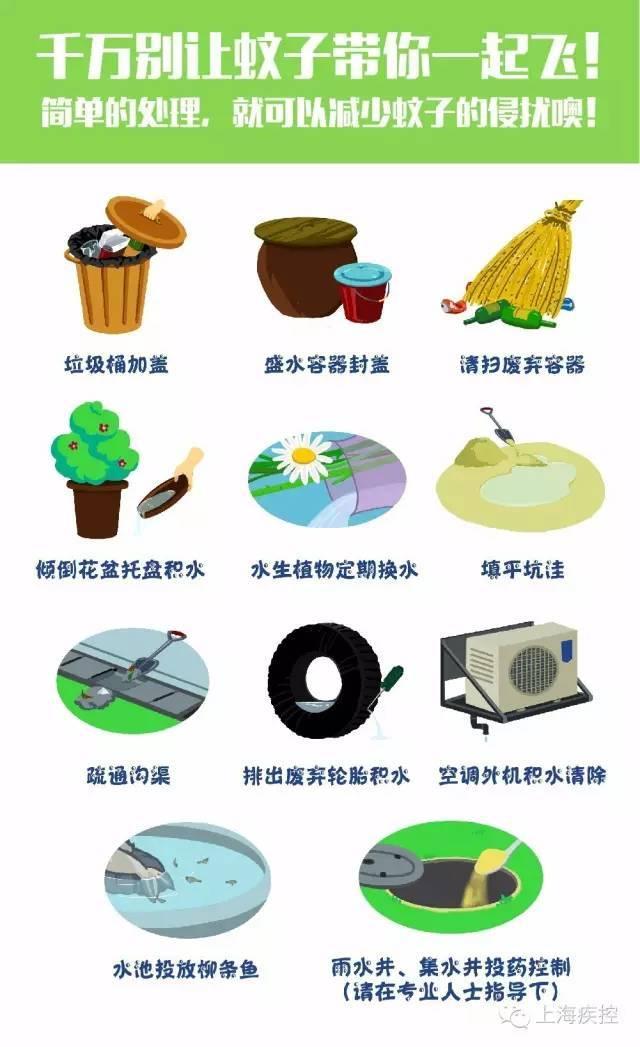 蚊子的寿命有多长，热带蚊子的寿命有多长（还不赶紧下狠手灭了它）