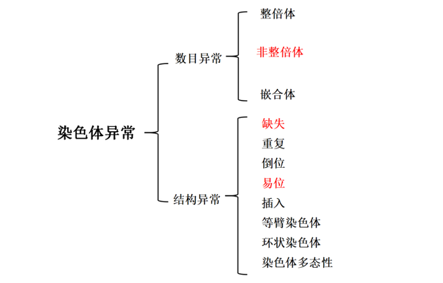 染色体数目异常，染色体异常是什么（妊娠失败的男性因素有哪些）