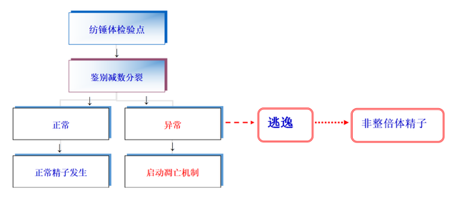 染色体数目异常，染色体异常是什么（妊娠失败的男性因素有哪些）