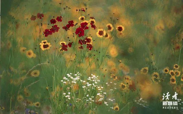 家乡的味道唯美句子，家乡的味道的唯美句子（是永远剪不断的思念）