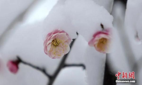 数九歌（数九歌古诗，什么是“数九歌”（今日冬至，白日苦短，思念最长）