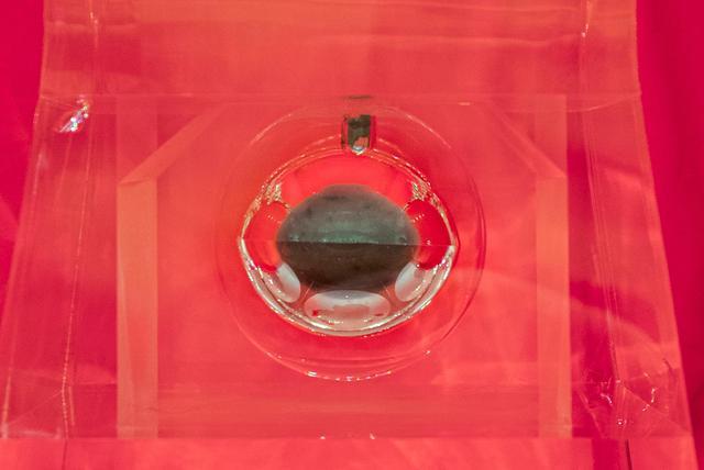 月壤有什么用，什么叫做月壤（全世界关注的“无价之土”是什么土）