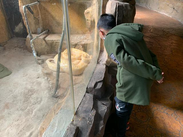 冬天有什么动物和植物冬眠了，哪些动植物冬眠（河马泡在温水里）