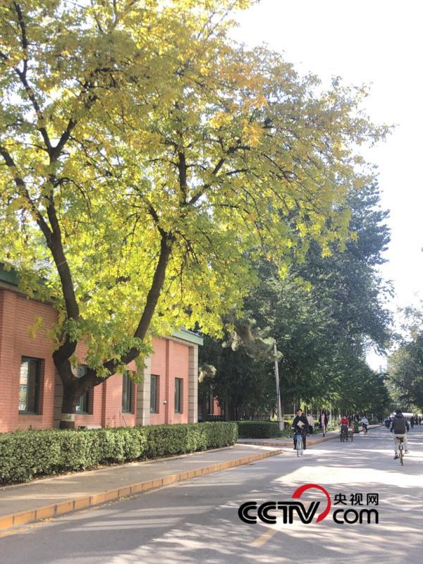 脱产考研是什么意思，什么是脱产研究生（为什么还要在职考研）