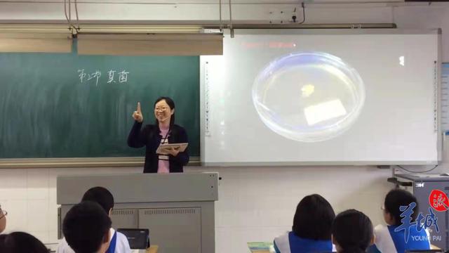 微能力是什么，30个微能力点的解读（天河区推进老师课堂“微能力”）