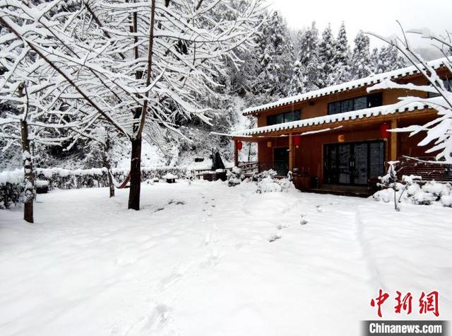 武当山海拔多少米，武当山在哪里（湖北武当山雪景美如画）