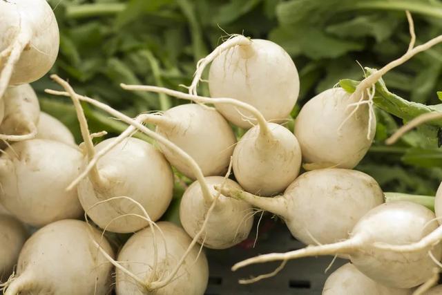 白萝卜水怎么煮，宝宝喝白萝卜水怎么煮（一月一碗汤，不用医生忙）