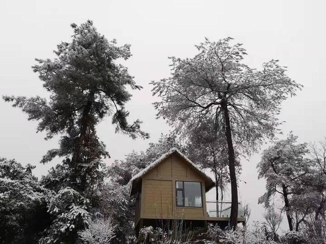 看一眼这15张美到窒息的雪景图片，雪景图片大全唯美高清（快来看看古蔺、叙永、合江等地的雪景）