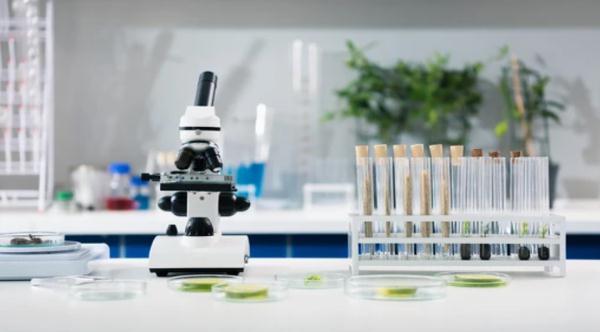 蛛与蚕文言文原文及翻译，蛛与蚕文言文翻译（在生活现象中培育孩子的科学兴趣）