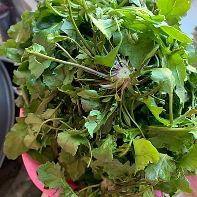 荠菜怎么做最好吃，荠菜鸡蛋饺子馅怎么调才好吃（把全家人征服的荠菜水饺）