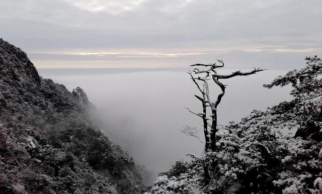 三清山在哪里，三清山坐落于哪里（江西上饶：银装素裹三清山）