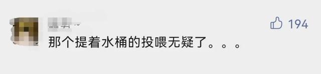 可可爱爱的网名:公主Ⅹ`，带公主的网名可爱微信昵称（西安一高校禁止堂食）