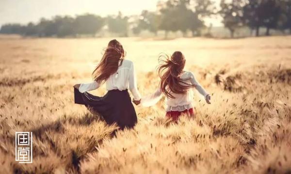 寥寥数语的意思，寥寥数语的意思怎么写（背后都是一种善良）