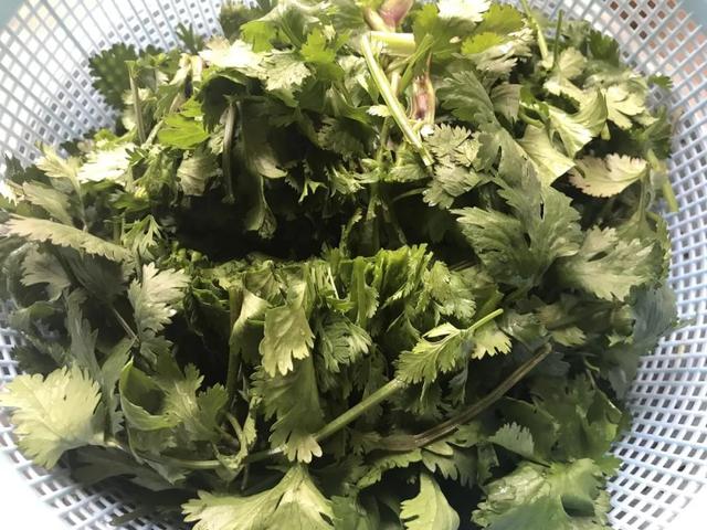 香菜牛肉的做法，鱼香肉丝的制作方法（劲爽嫩滑的香菜牛肉）